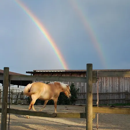 Alloggio per agriturismo Il Frutto Permesso